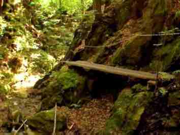 photo066.jpg (9908 Byte)