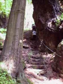 photo067.jpg (10620 Byte)