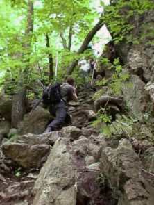 photo068.jpg (13309 Byte)