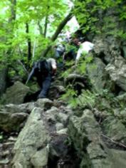 photo069.jpg (12221 Byte)