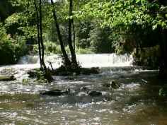 photo070.jpg (8594 Byte)