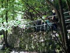 photo071.jpg (10795 Byte)