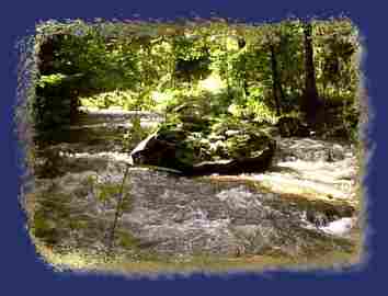 photo072.jpg (9041 Byte)