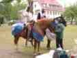 0519t116.jpg (1873 Byte)